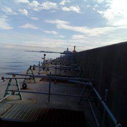 またタコが、またまた釣れました。