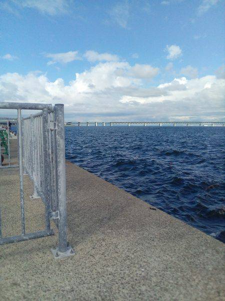 明日からお盆、タコ釣りは今日で一段落。