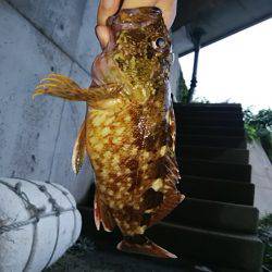 シーバッシング 穴釣り