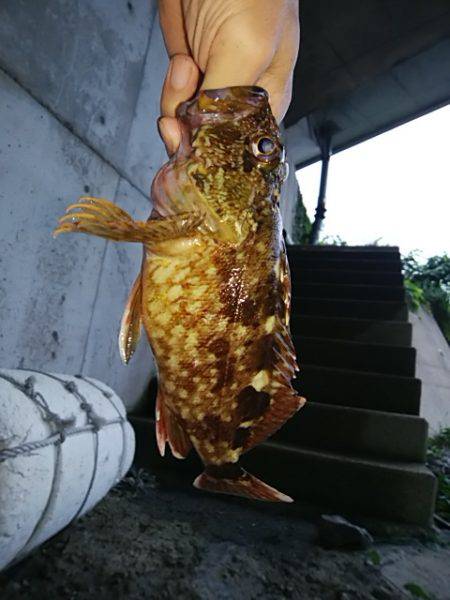 シーバッシング 穴釣り