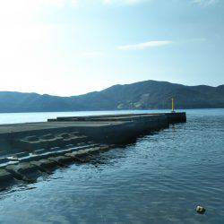 阿南市の椿泊でタチウオとシオと小アジ