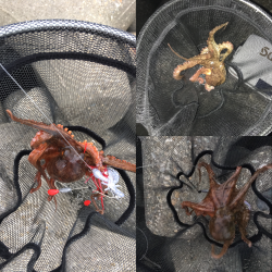 デイオクトパッシング