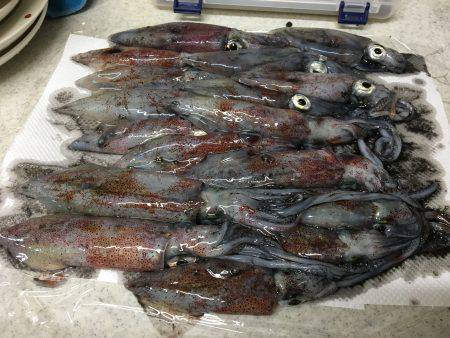 ライトエギング