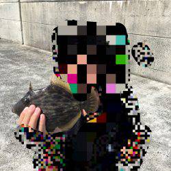 一文字でショアジギング