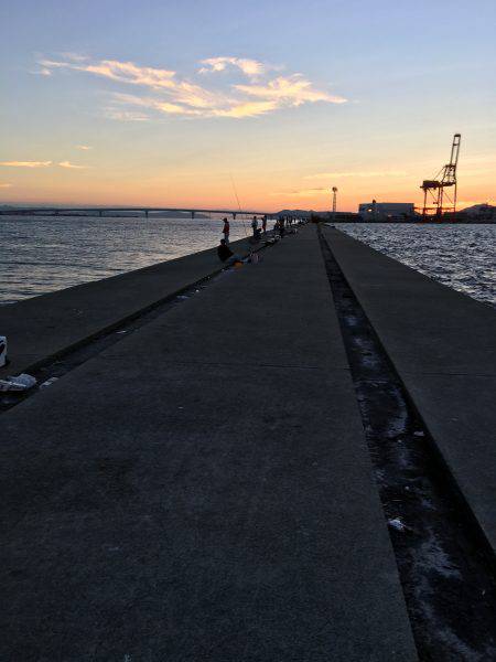 ポーアイ沖サゴシ タチウオ