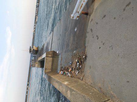 キスのつもりがサビキw