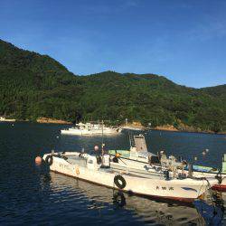 釣り始め遅すぎたw