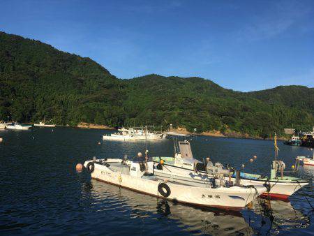 釣り始め遅すぎたw