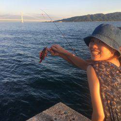 青物最高！【その他も】