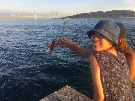 青物最高！【その他も】