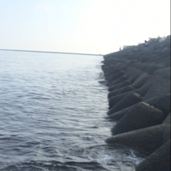 ツバス連敗中…