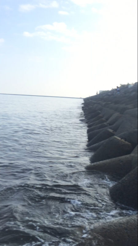 ツバス連敗中…