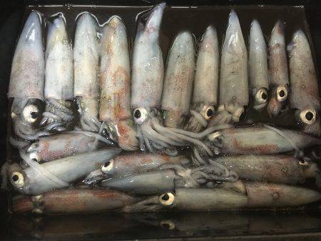 台風が来る前に