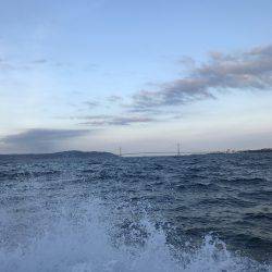 オフショア2回目!