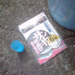 小アジ　サヨリ等