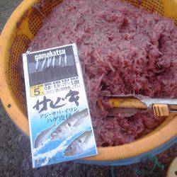 豆アジ34匹、チャリコ5匹、コノシロ2匹