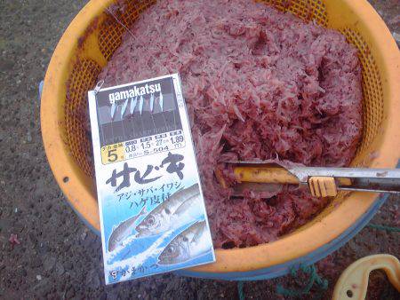 豆アジ34匹、チャリコ5匹、コノシロ2匹