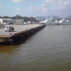 水潮で豆アジ0、ボラ２匹等