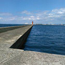 ショアジギング（小魚編）