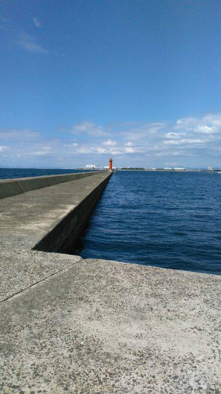 ショアジギング（小魚編）