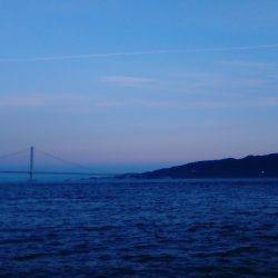 淡路島、明石方面で青物釣果が上がっていたので行って見たのですが?