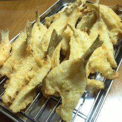 子供とキス釣り