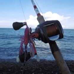 サーフオクトパッシング