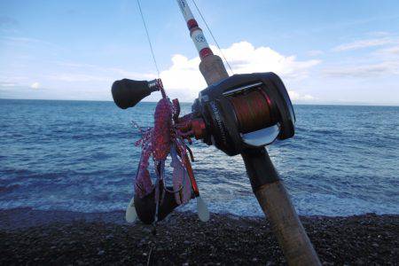 サーフオクトパッシング