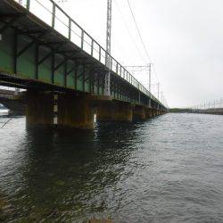 新子シーズン開幕(笑)