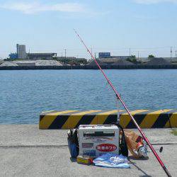 志筑バス停前でキス狙い