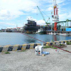 今回も夜釣りからキス狙い