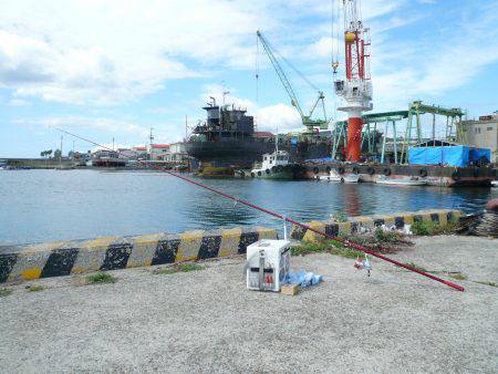 今回も夜釣りからキス狙い