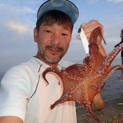 飽きもせず、またまたまたまた4週連続沖堤防♪