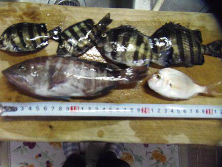 小サババカ釣り