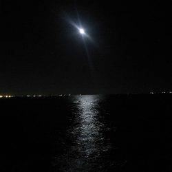 クロダイ45cm&メジナ30cm弱!!