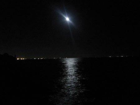 クロダイ45cm&メジナ30cm弱!!