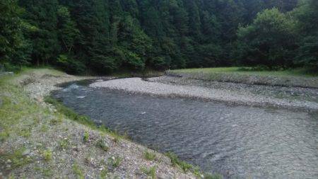 台風後の上桂川花背地区の鮎