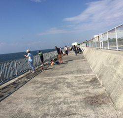 初☆ジグサビキ