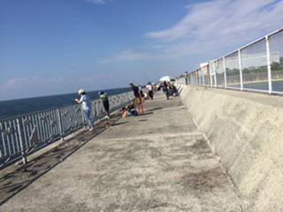 初☆ジグサビキ