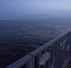 お久しぶりのツバス