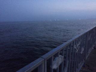 お久しぶりのツバス