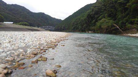 濁った古座川で鮎数尾・・・