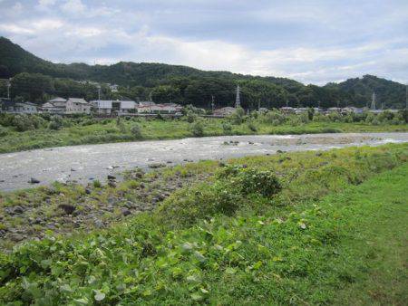 狩野川(狩野川漁業協同組合) 釣果