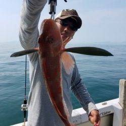 遊漁船　ニライカナイ 釣果