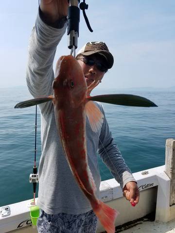 遊漁船　ニライカナイ 釣果