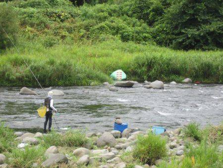 狩野川（狩野川漁業協同組合） 釣果