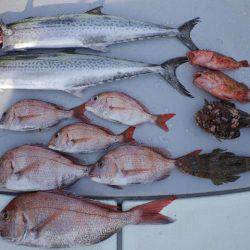 TOPGUN名古屋 釣果