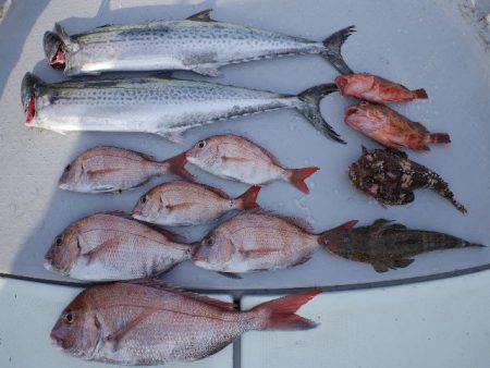 TOPGUN名古屋 釣果