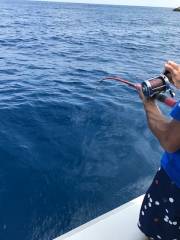 ことぶき丸 釣果