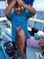 ことぶき丸 釣果